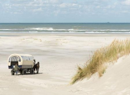 Puur Terschelling — photo 2