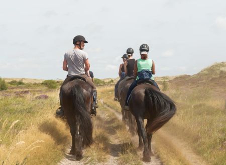 Puur Terschelling — photo 4