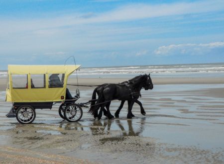 Puur Terschelling — photo 5