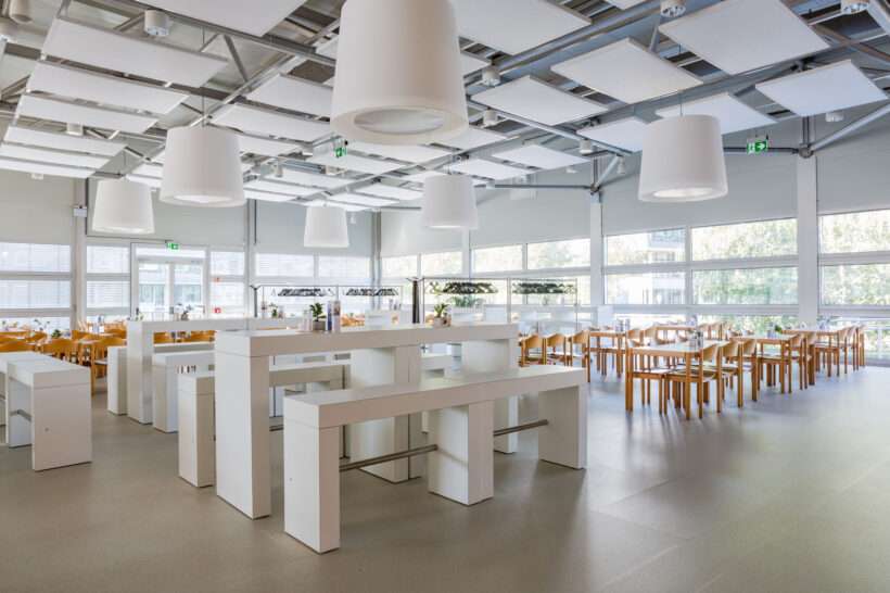 Neptunus — photo 5