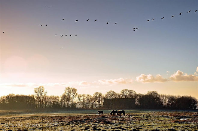 Hoeve Hildernisse — photo 4