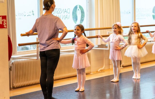 Dansstudio Van Harten — photo 4