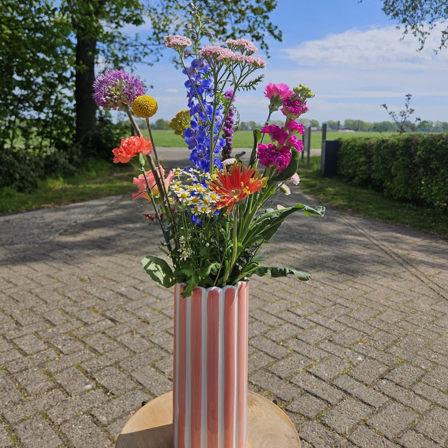 Aan de zeven alleetjes — photo 2