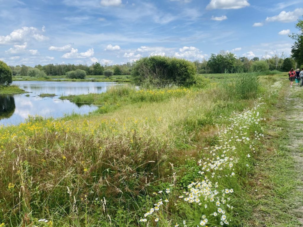 Natuurpoort De Peel — photo 3