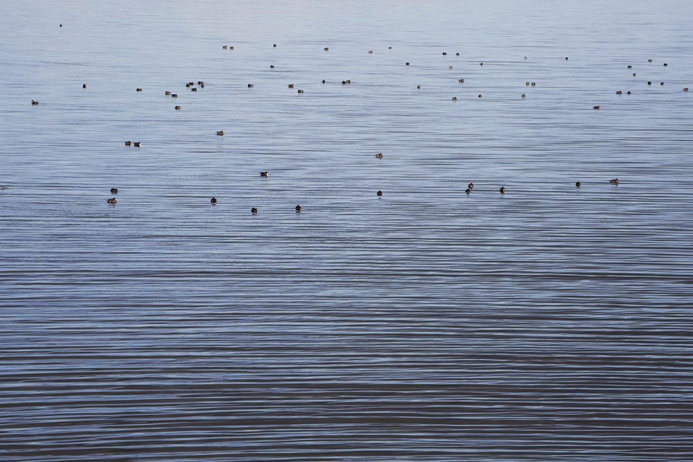 Oosterwijk Fotografie — photo 5