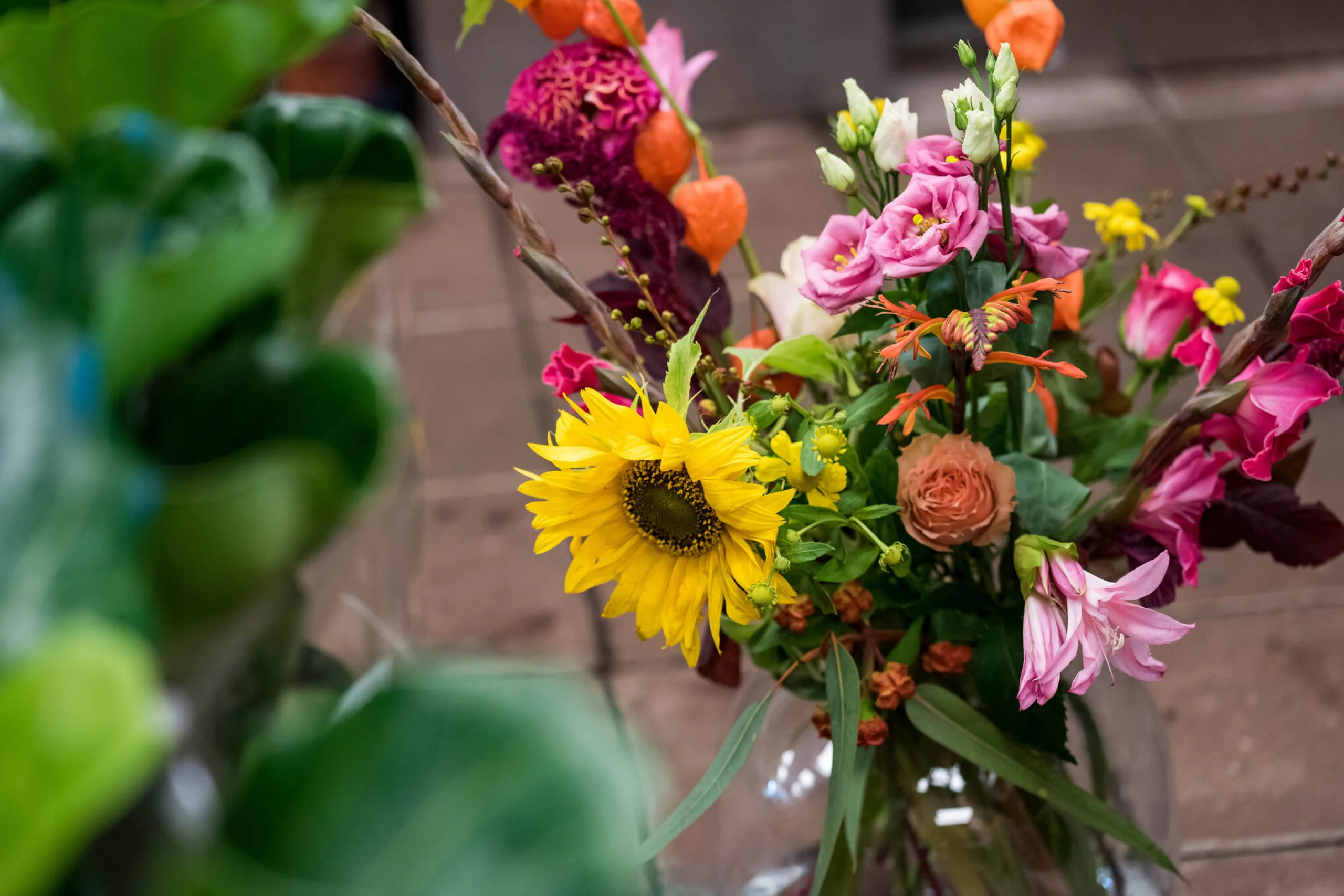 Groot in Groen — photo 4