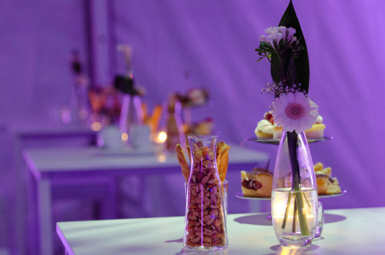 Top Partyverhuur — photo 4