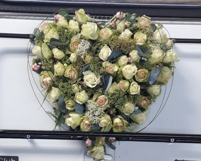 Bloom Bloom — photo 2