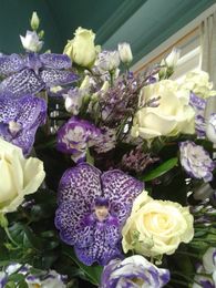 Bloom Bloom — photo 3