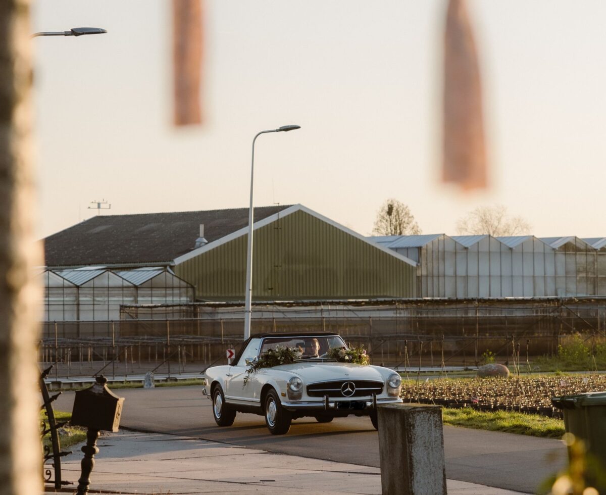 Trouwporsches.nl — photo 4