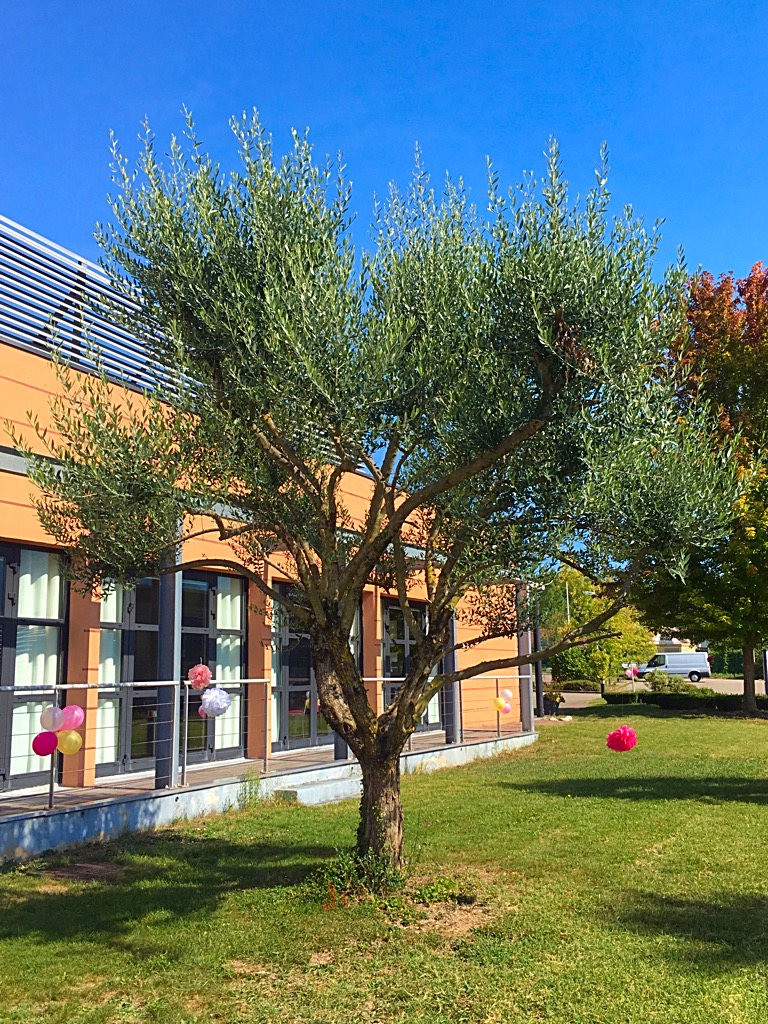 Le Domaine des Fontaines — photo 5