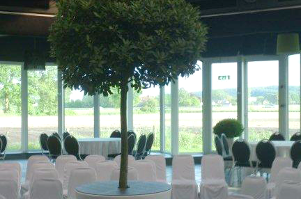 Partycentrum Olde Beth