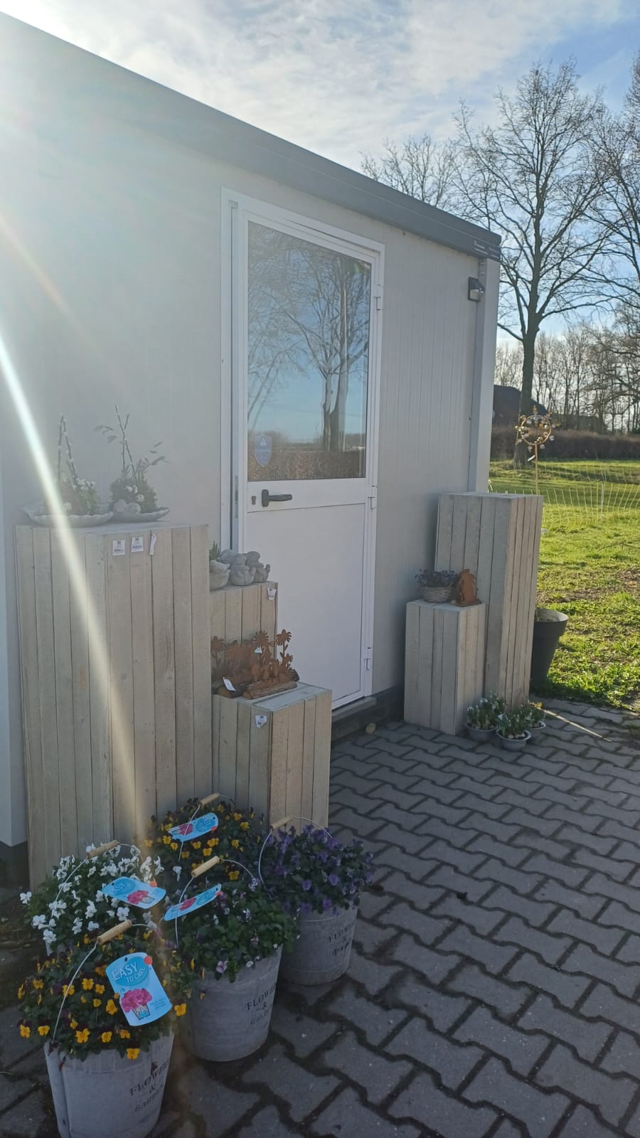 Bloemstyliste Heleen — photo 3
