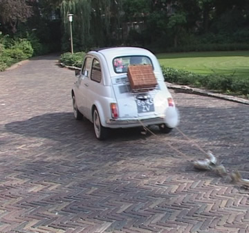 Kees de Bruin video