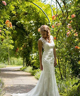Elegant Looks — photo 3
