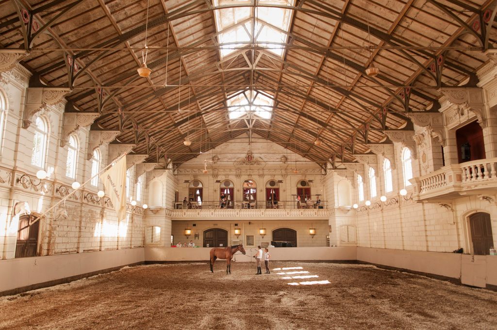 De Hollandsche Manege — photo 2