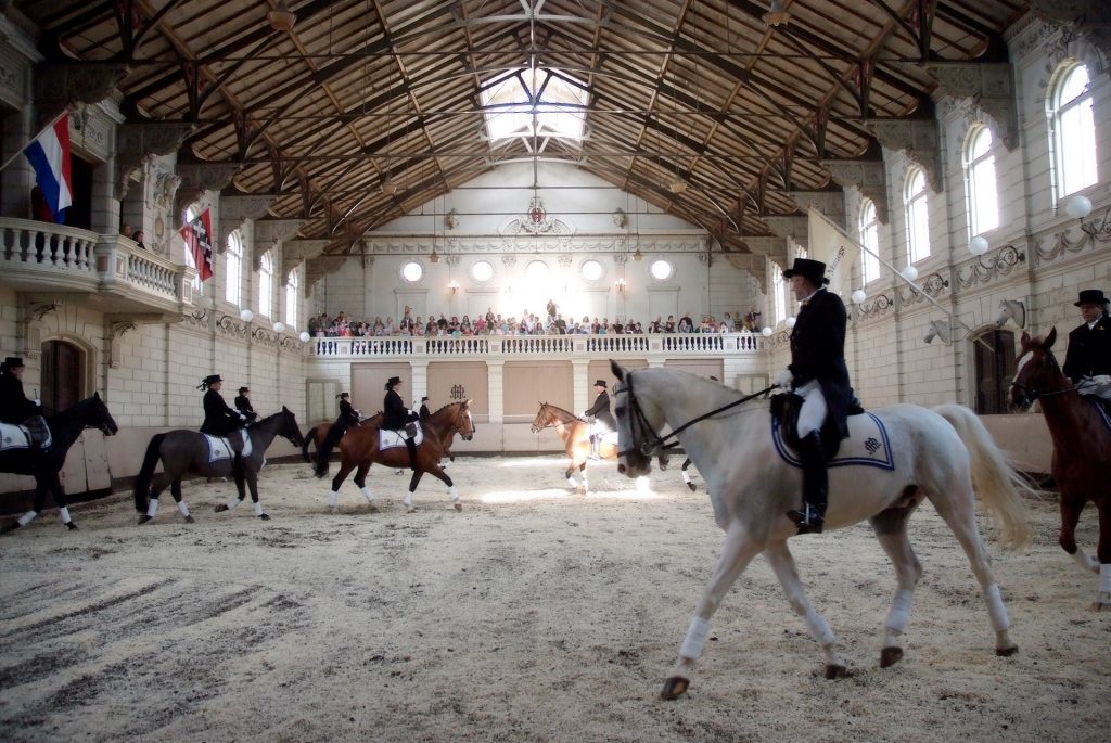 De Hollandsche Manege — photo 5