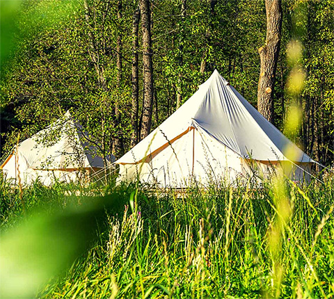 Camping Boven het Maaiveld — photo 2