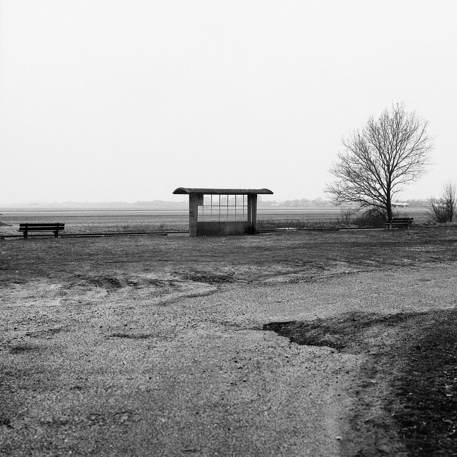 Robert tooren fotografie — foto 3