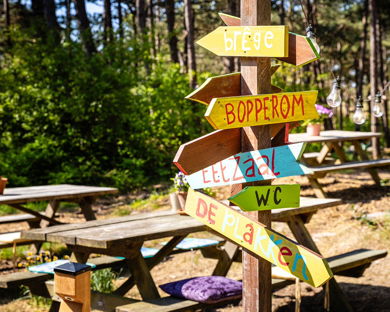 Folkshegeskoalle Schylgeralân — photo 3