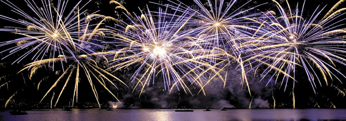 PyromaX Fireworks Events — photo 2