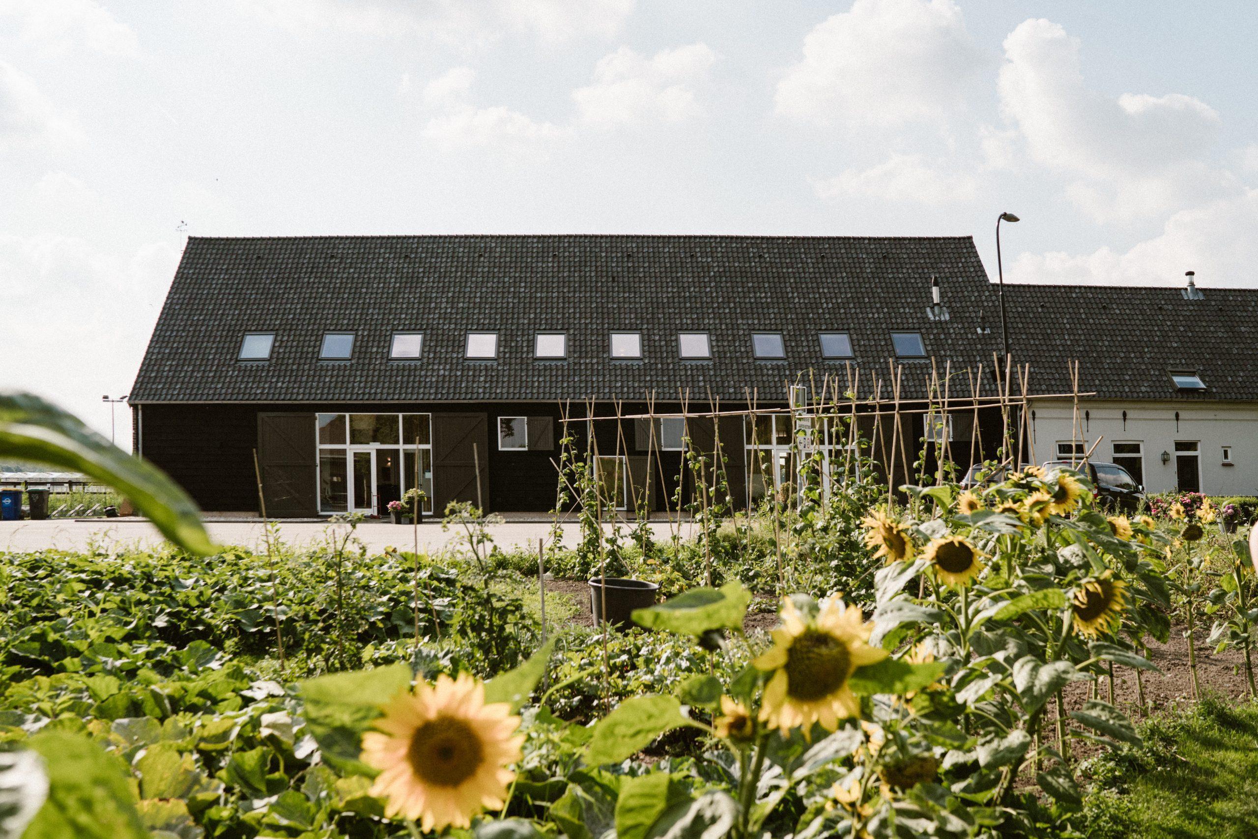 Hofstede de Paradijshoeve — foto 2