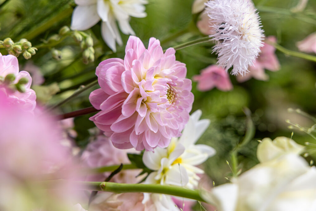 To Do Flowers & Weddings — photo 5
