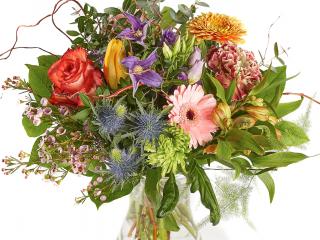Bloemen Francois van Gurp — photo 4