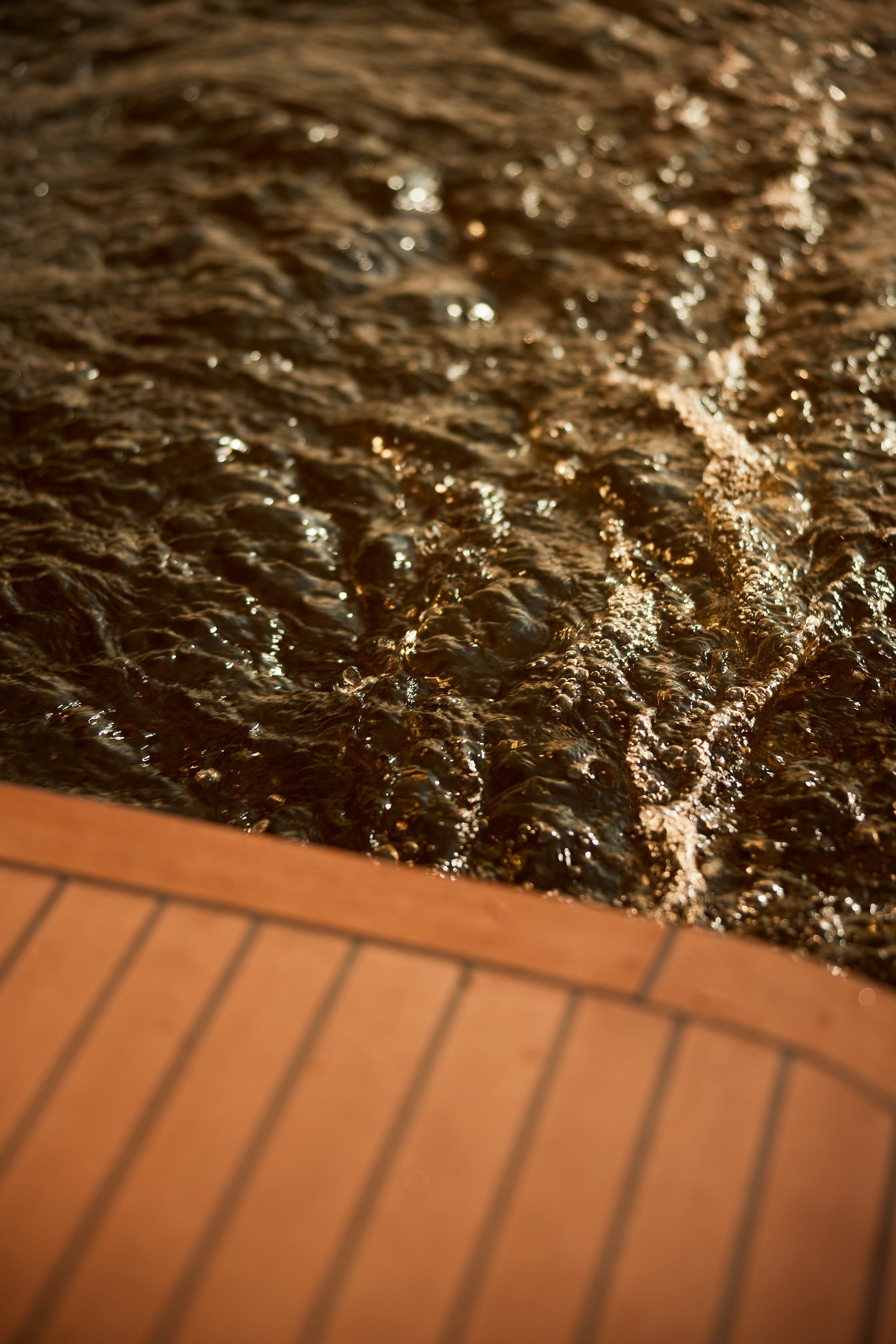 De Otter — photo 2
