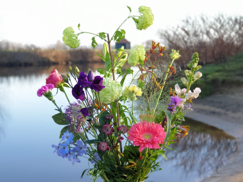 Flower Fashion — photo 4