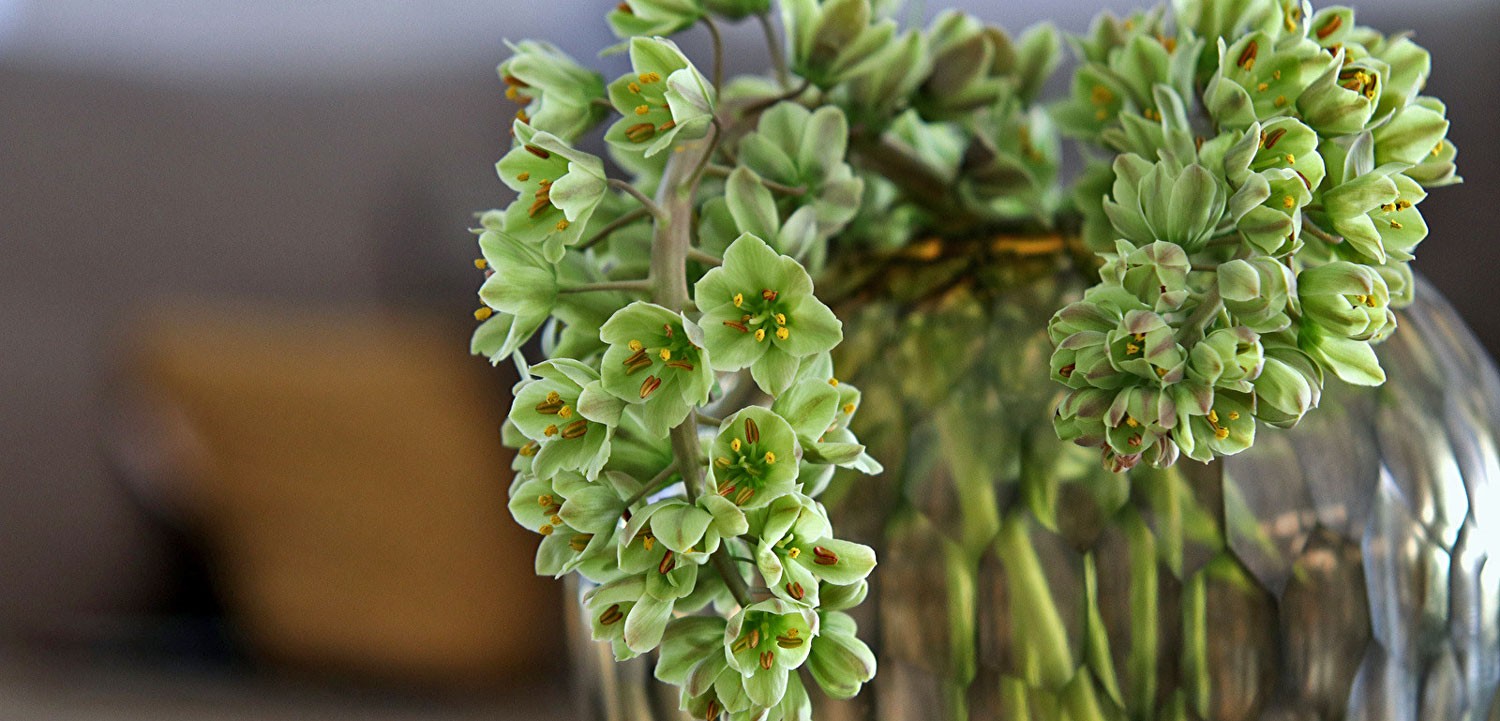 Tuincentrum de Huifkar — photo 3
