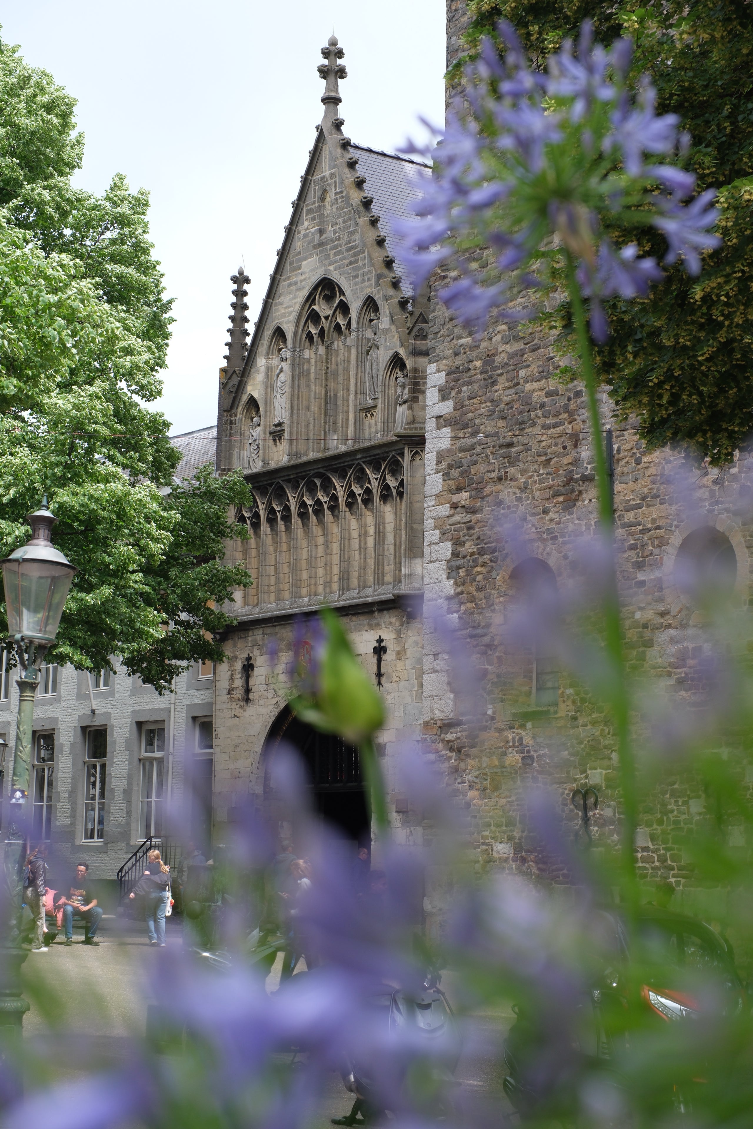 Frissen Pieters Bloemensalon — photo 4