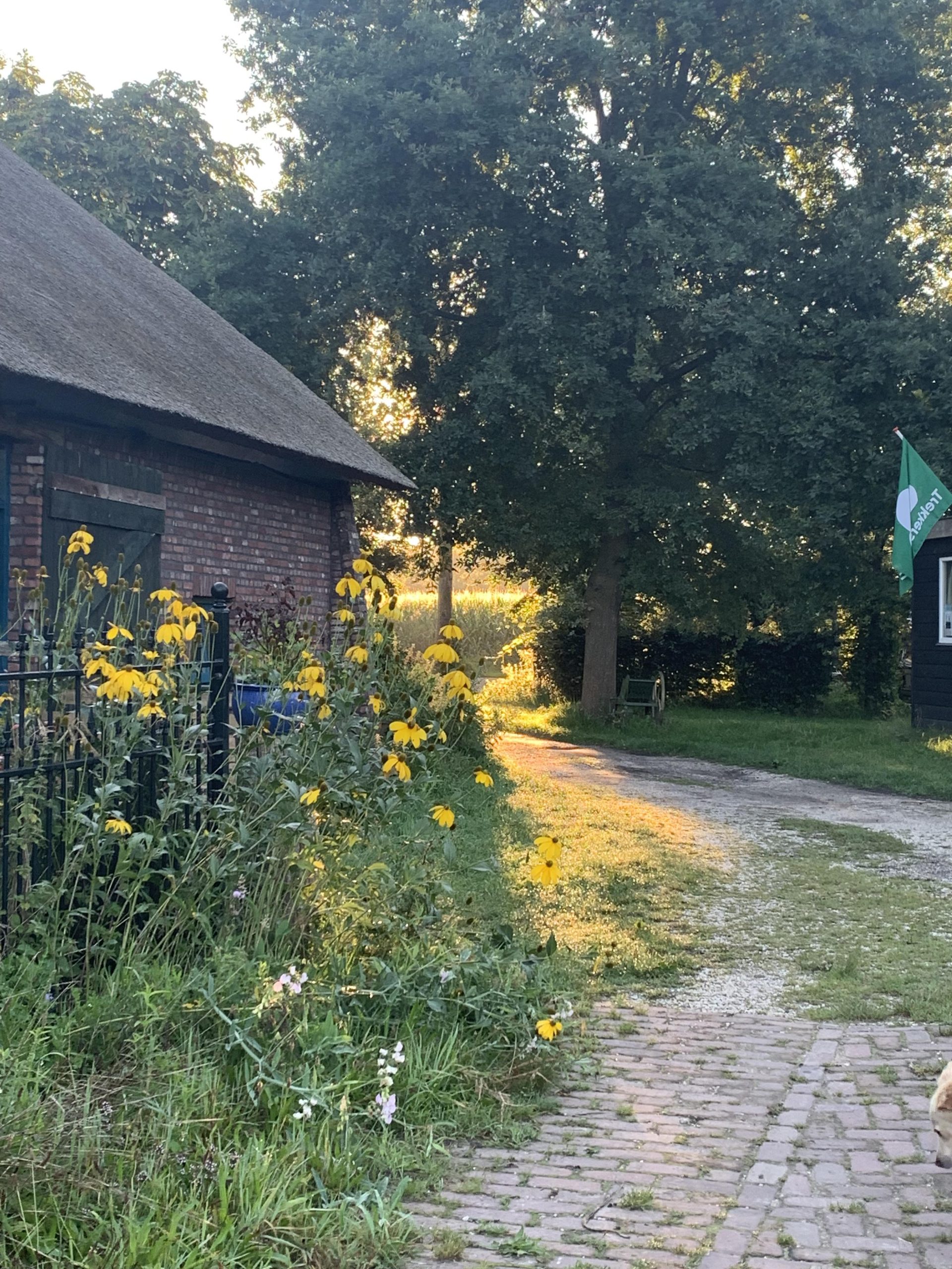 B&B Kampeerboerderij Vogelenzang — photo 2