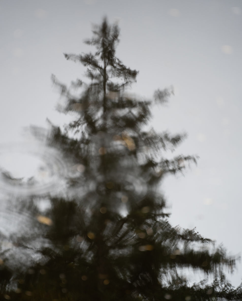 Yolie Fotografie — photo 2