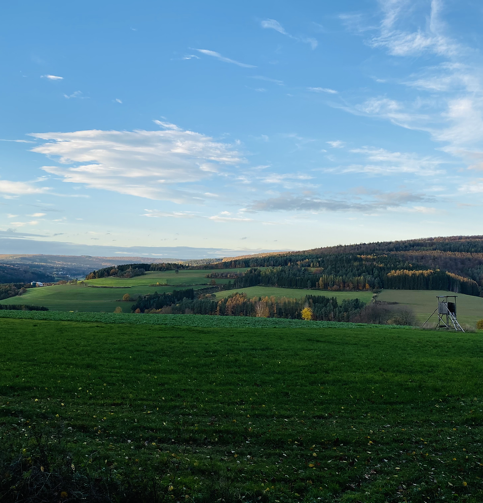 Forsthaus Zieglerfeld — photo 3
