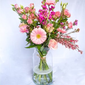 Pimpernel Bloemen — photo 2