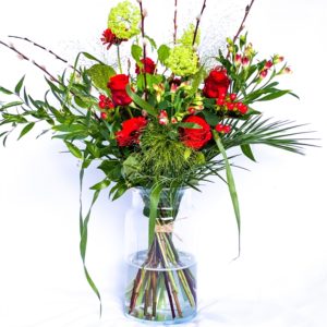 Pimpernel Bloemen — photo 3