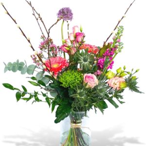 Pimpernel Bloemen — photo 4