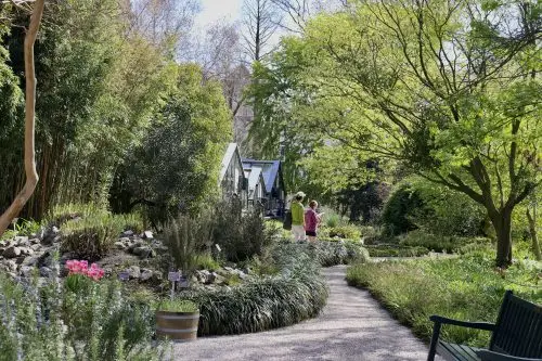 Hortus Botanicus Amsterdam — photo 4