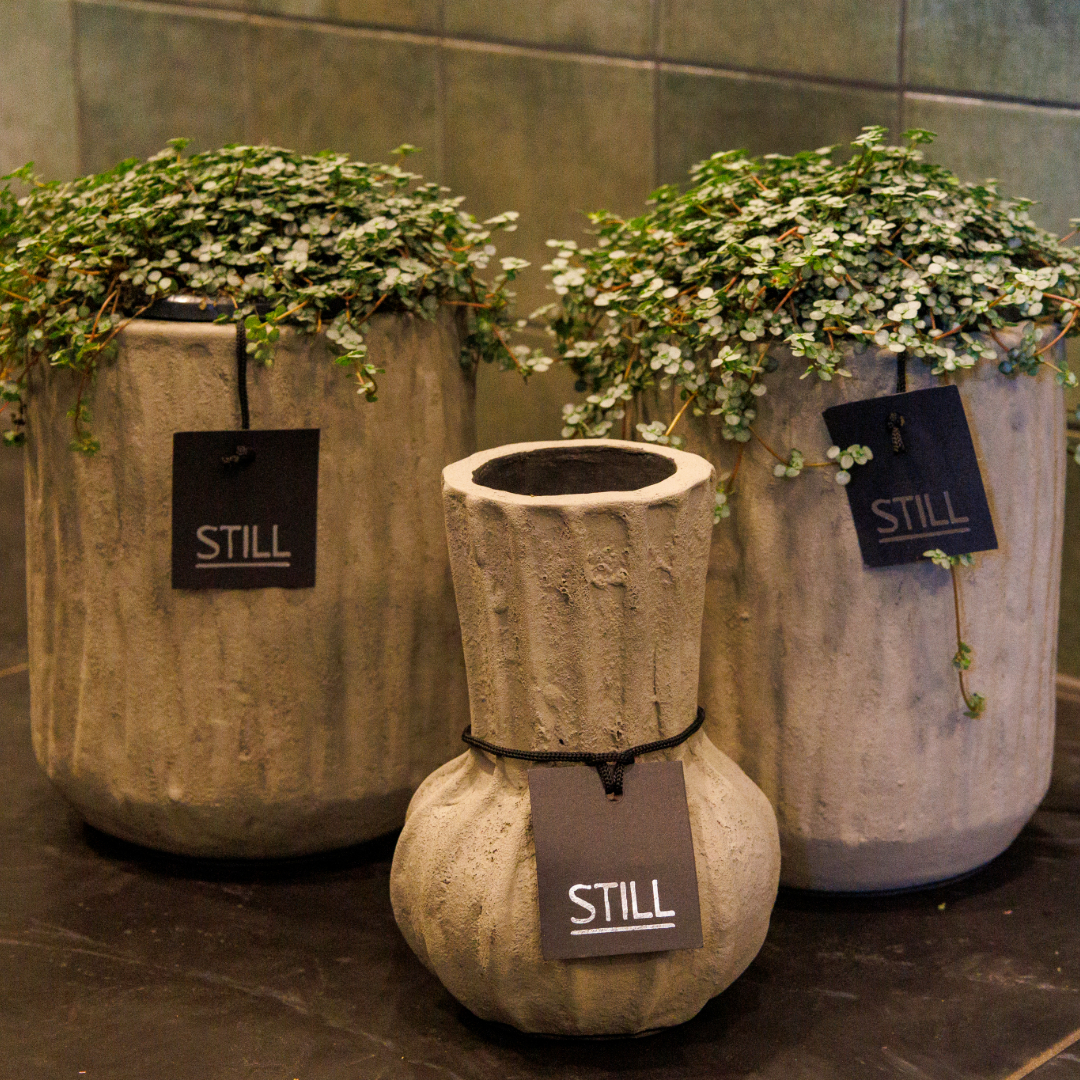 Natuurlijk by Sanne — photo 5