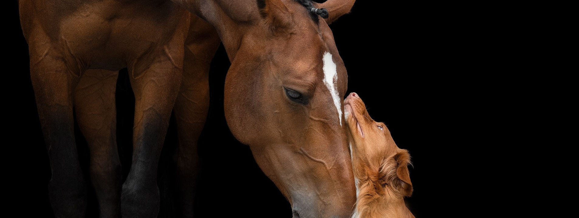 Anne Sunderman Photography — foto 2
