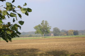 Groepsaccommodatie De Bongerd — photo 4