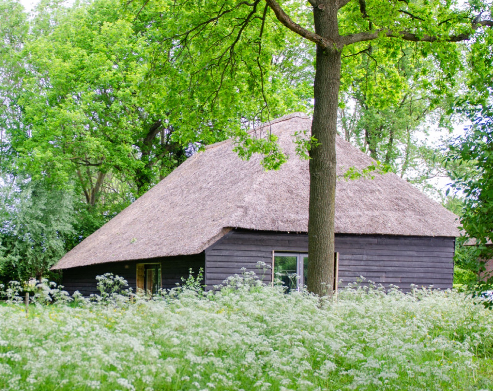 Bloemen van SAS — photo 2