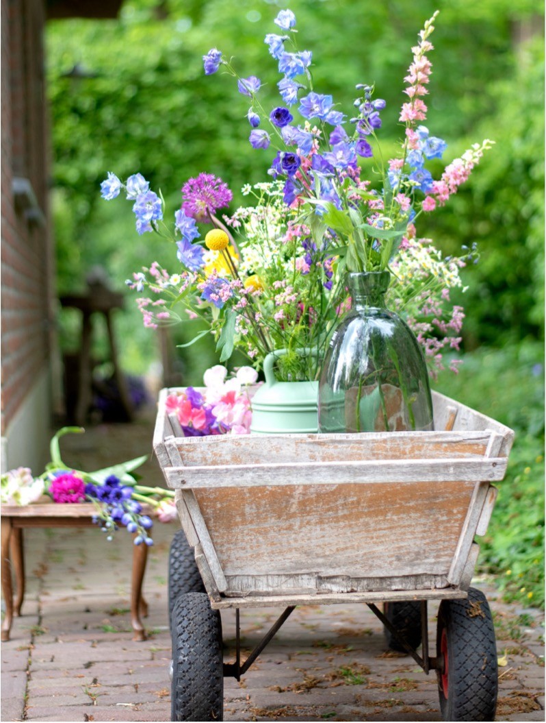 Bloemen van SAS — photo 3