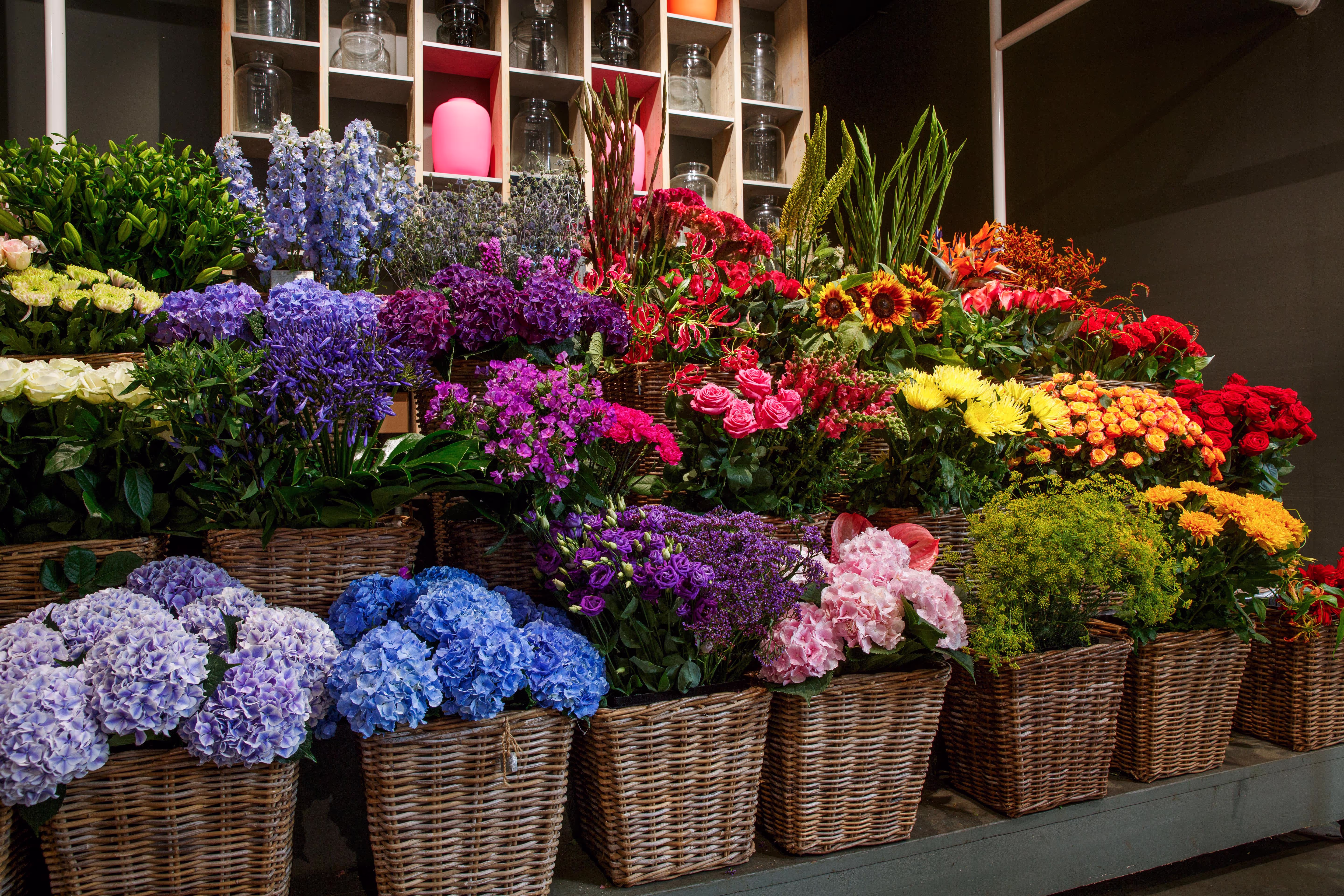 BLOEM! Amsterdam Oostpoort