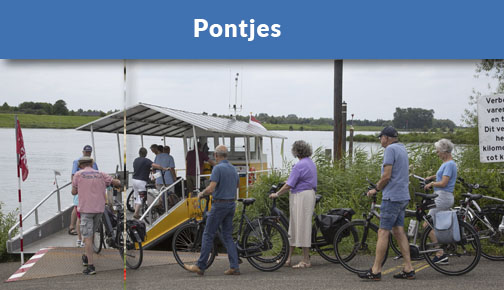 Uiterwaarde — photo 2