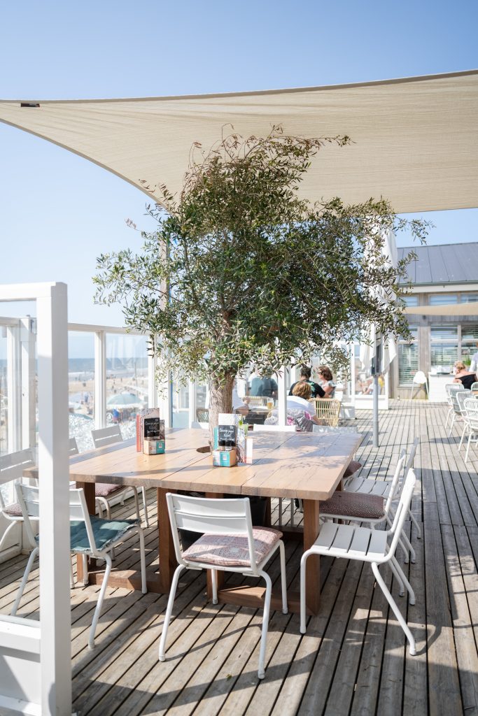 Nautilis aan zee — photo 4