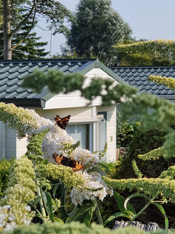 't Hoorntje — photo 3