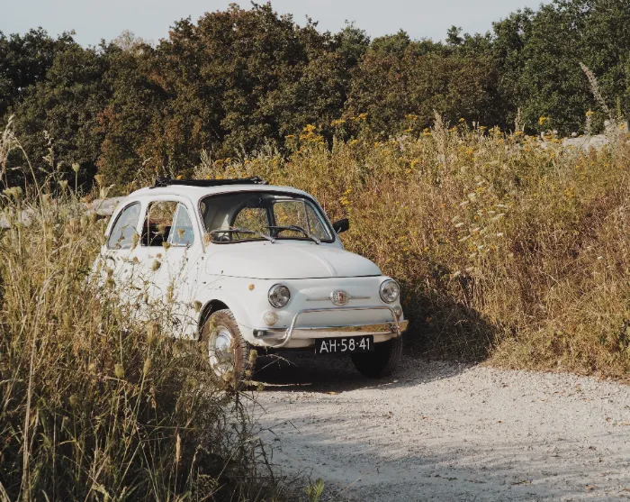 Fiat 500 Trouwauto — photo 3