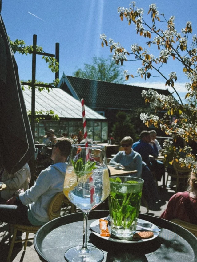 Het Tuinhuis — photo 4